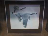 Framed Print; Two Flying Ducks