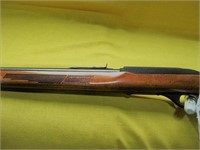 Marlin Glenfield Model 60 22 long Rifle