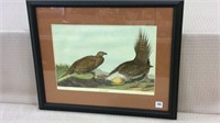 Framed Print-Cock of the Plains-1837