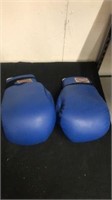 Sports Combat blue boxing gloves had damage