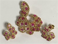 14k Gold And Ruby Broche & Earring Set