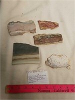 Rock slab pieces from Arizona pastelite, picture,