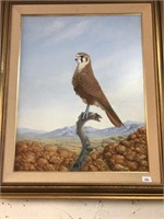 FRAMED OIL ON CANVAS "BROWN FALCON"