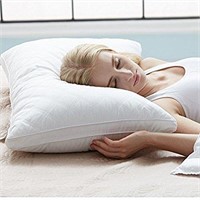Sable Luxury Quilted Pillow SA-BD008 - 2 Pack