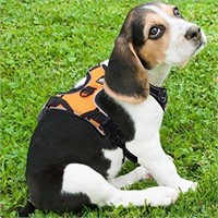 Rabbitgoo Small Reflective No-Pull Dog Harness,