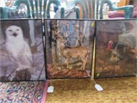 x3 wildlife prints.