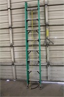 World Factory extension ladder