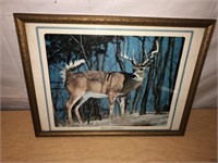 White Tailed Deer Framed Vintage Picture