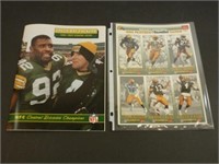 Green Bay Packers 1995 Post Season Guide, Green