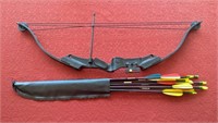 Youth Compound Bow & Arrows