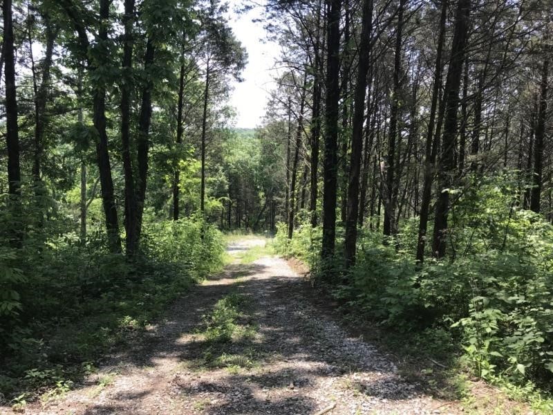 389 Acres & Cabin offered in 4 Tracts