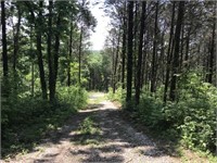 Tract 4 - 27.5 Acres