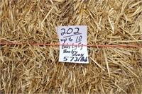 Straw-Lg. Squares-Barley