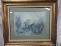 Vintage Framed & Matted Armadillo Picture