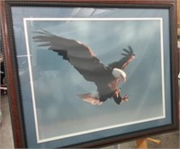 Framed Matted & Signed Tony Dawson Eagle Photo