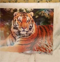 Tiger hologram 15" by 11 -1/2"