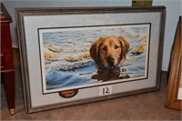 Framed swimming dog print 20" x 31"