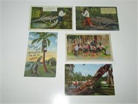 Lot of 5 Black Americana Postcards A