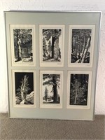 Tree prints by JJ Gyer.