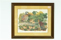 Framed, matted limited edn. quail print