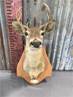 Deer wall mount