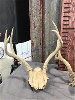 Set of 3 skull caps w/ antlers