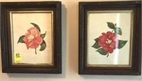 WALNUT SHADOWBOX FRAMES WITH CAMELIA PICTURES