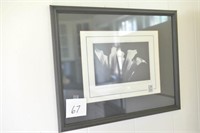 Framed Print - Photographers Choice by W. P.