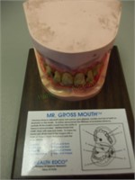 Mr. Gross Mouth Education Display