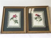2 Framed Botanical Prints