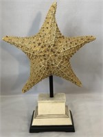 C2C Designs Starfish Sculpture