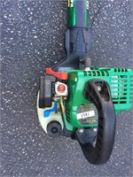 FeatherLite green & black leaf blower