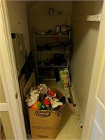 Contents Of Closet And Rug