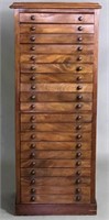 Antique English Specimen Display Cabinet
