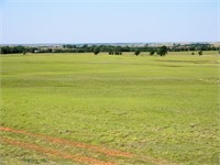 Custer County, Oklahoma Land for Sale ±40
