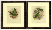 Pair Keulemans Parrot Prints