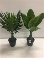 SET OF 2 PLASTIC DECORATIVE PLANTS