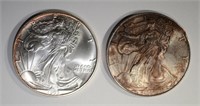 1993 & 1996 BU AMERICAN SILVER EAGLES