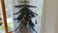 Large Norfolk Pine