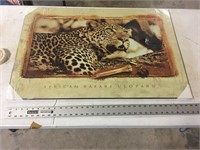 LEOPARD PICTURE ON BOARD