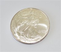 2005 Silver eagle