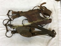 Two Early Bridles. Marked