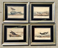 4 Audubon Prints In Original Frames
