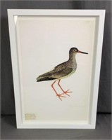 17x24" Deep frame print.  Retro ornithology print.