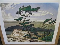 WHITE PINE PRINT BY A.J. CASSON