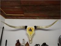 Hand Painted Longhorn Skull
