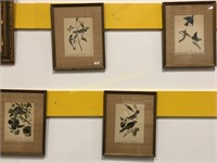 Set of Four Audubon Bird Prints, Circa 1940