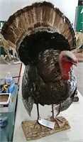 Missouri Turkey