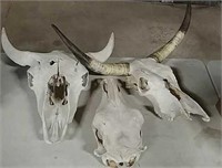 3 Skulls (Bison, Steer & Heifer skulls)
