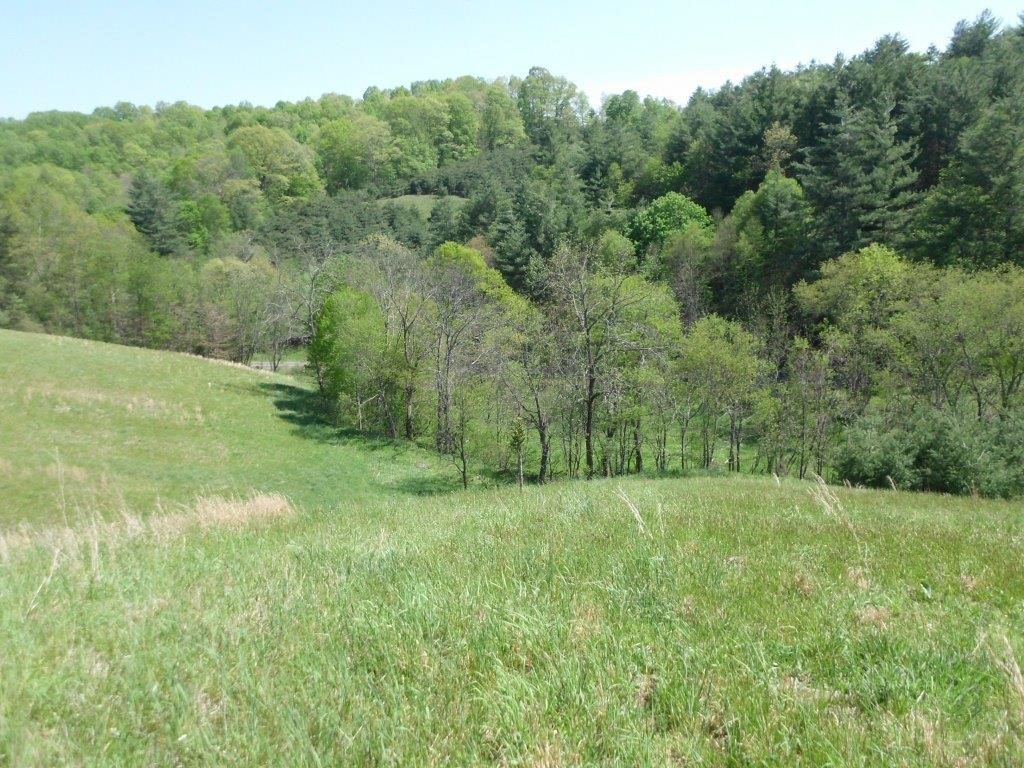 Ashe Co. Mountain Land 2 Auction